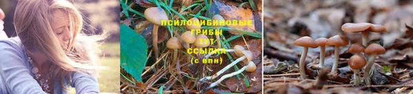 таблы Зеленокумск