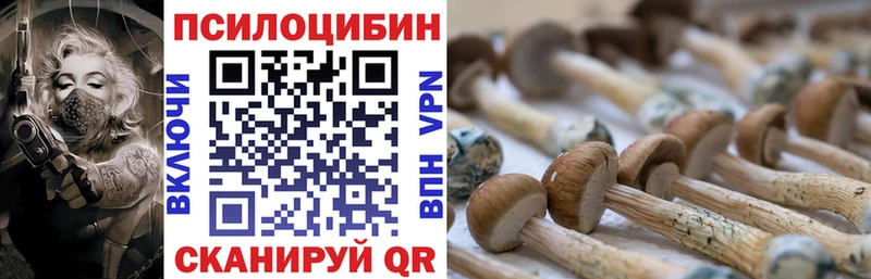 Галлюциногенные грибы мухоморы  Купить закладки  Дно 