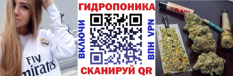 Бошки марихуана SATIVA & INDICA  Купить закладки  Дно 